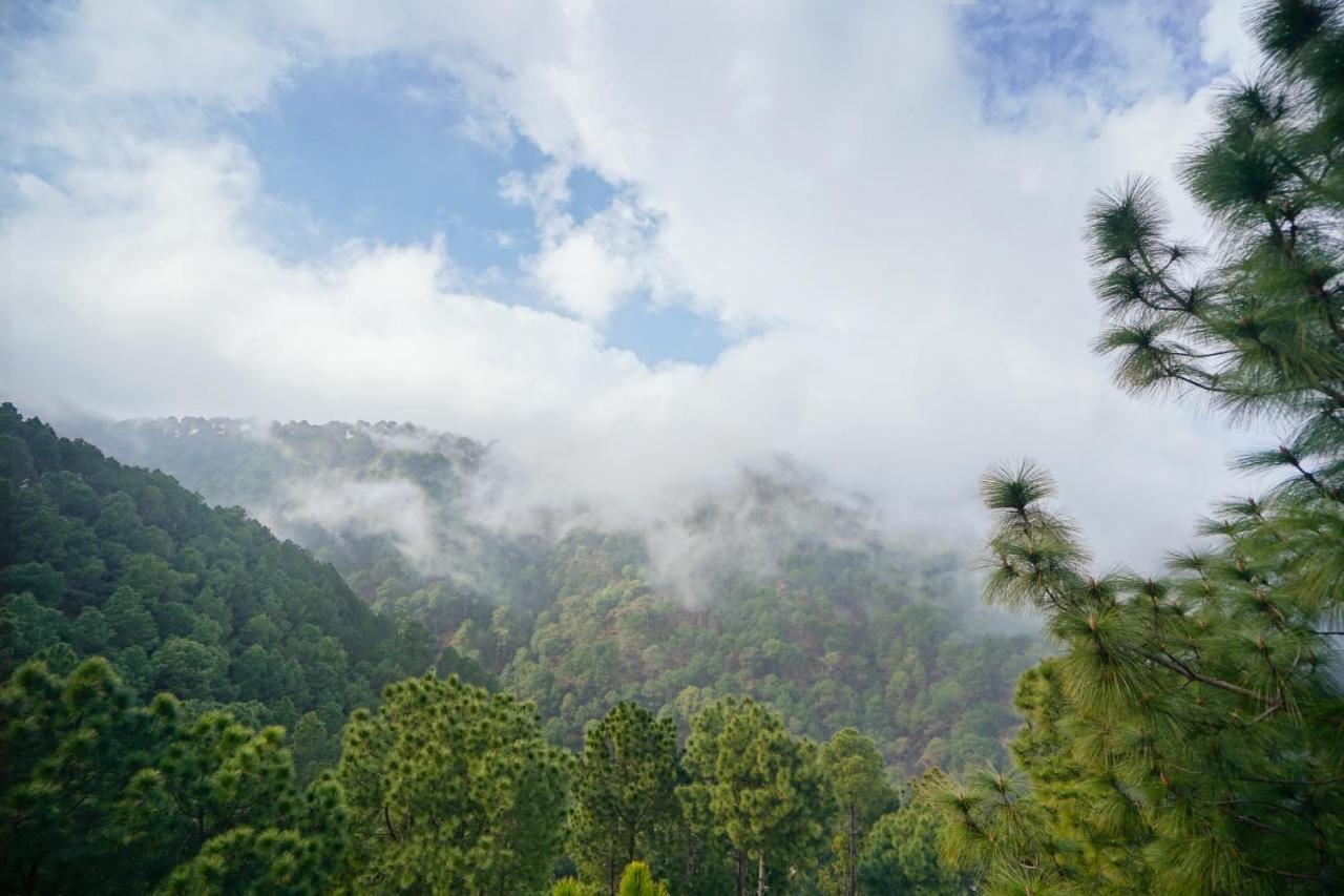 Pine Villa By Montrose Kasauli Buitenkant foto